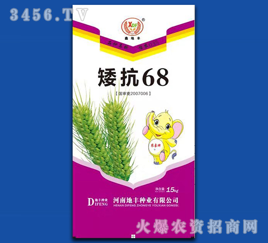 15kg矮抗68-小麦种子-地丰种业